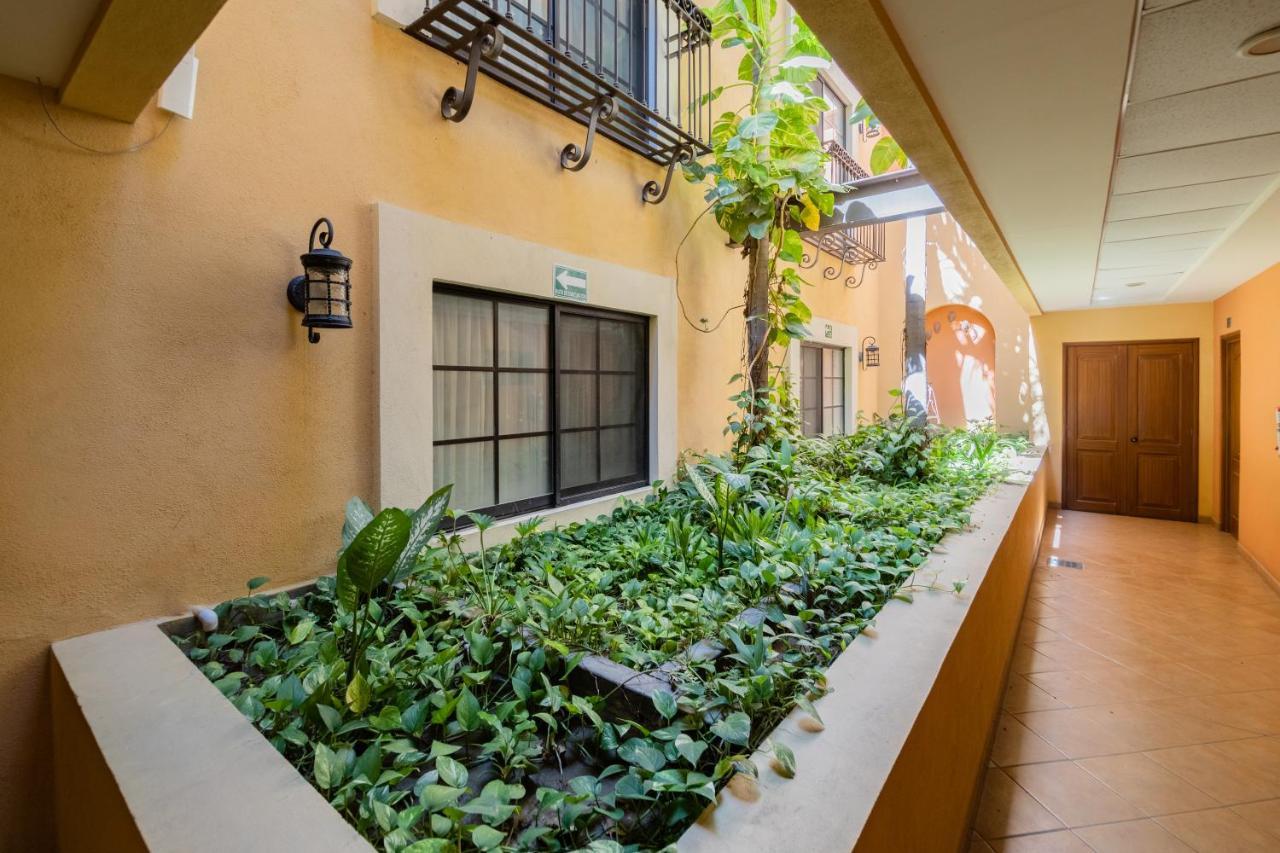 Hotel Colli San José del Cabo Exterior foto